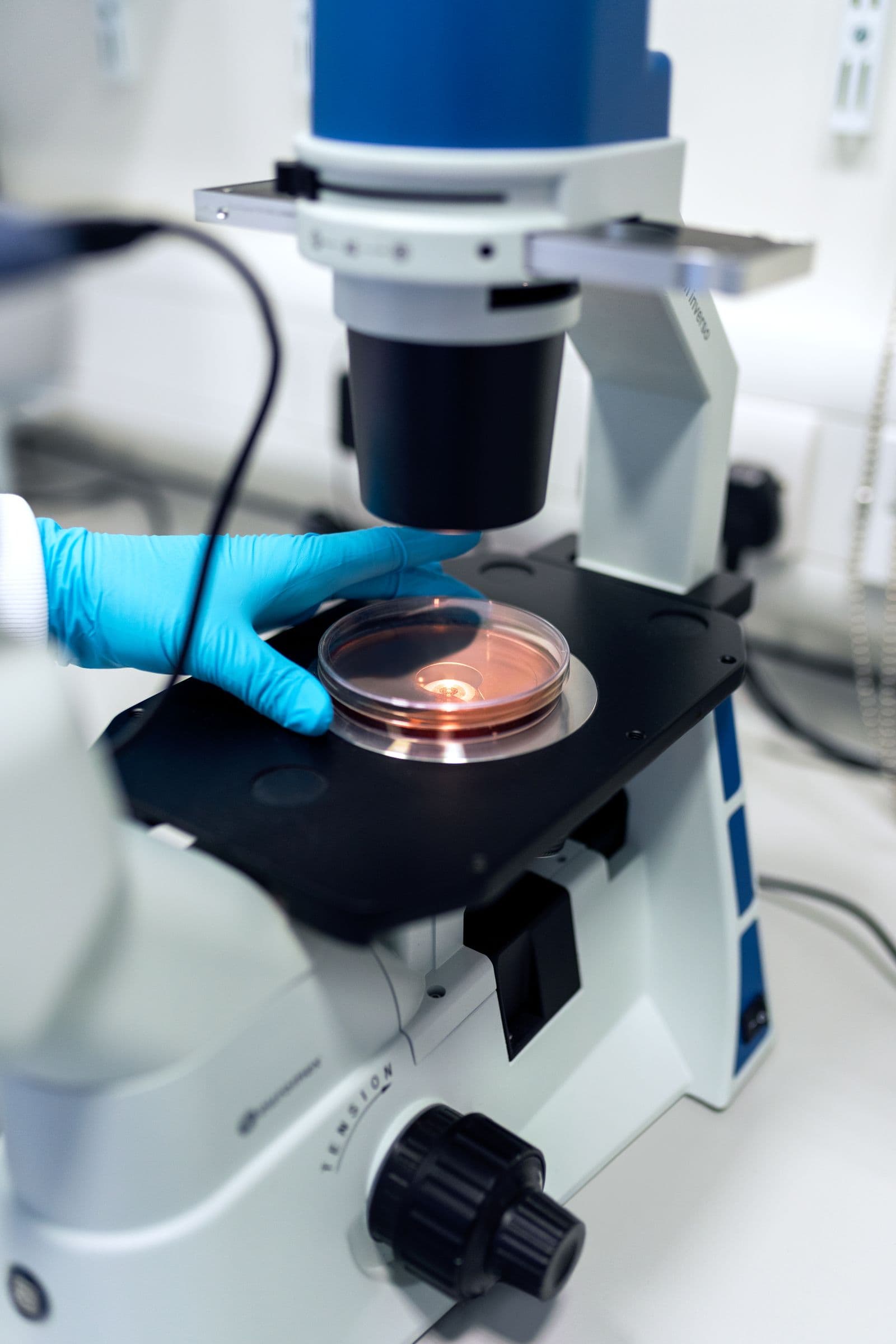 Embryo searching and grading work under the microscope
